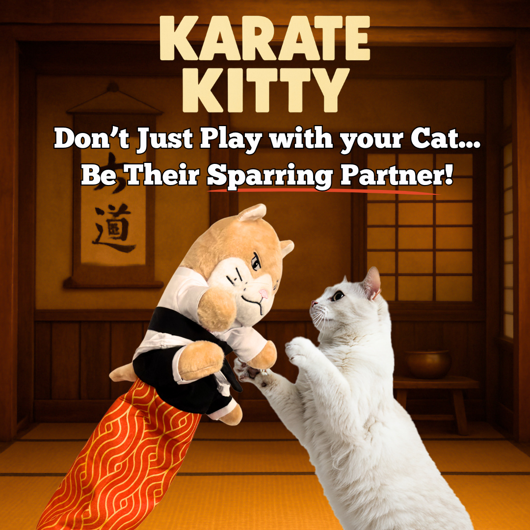 Karate Kitty Facebook ad