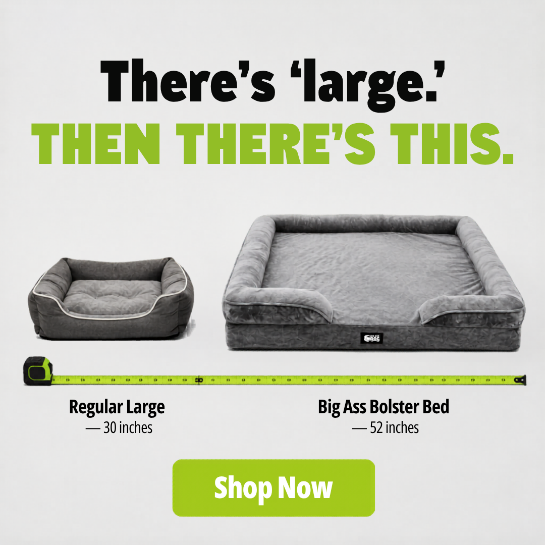 BADCO Facebook ad