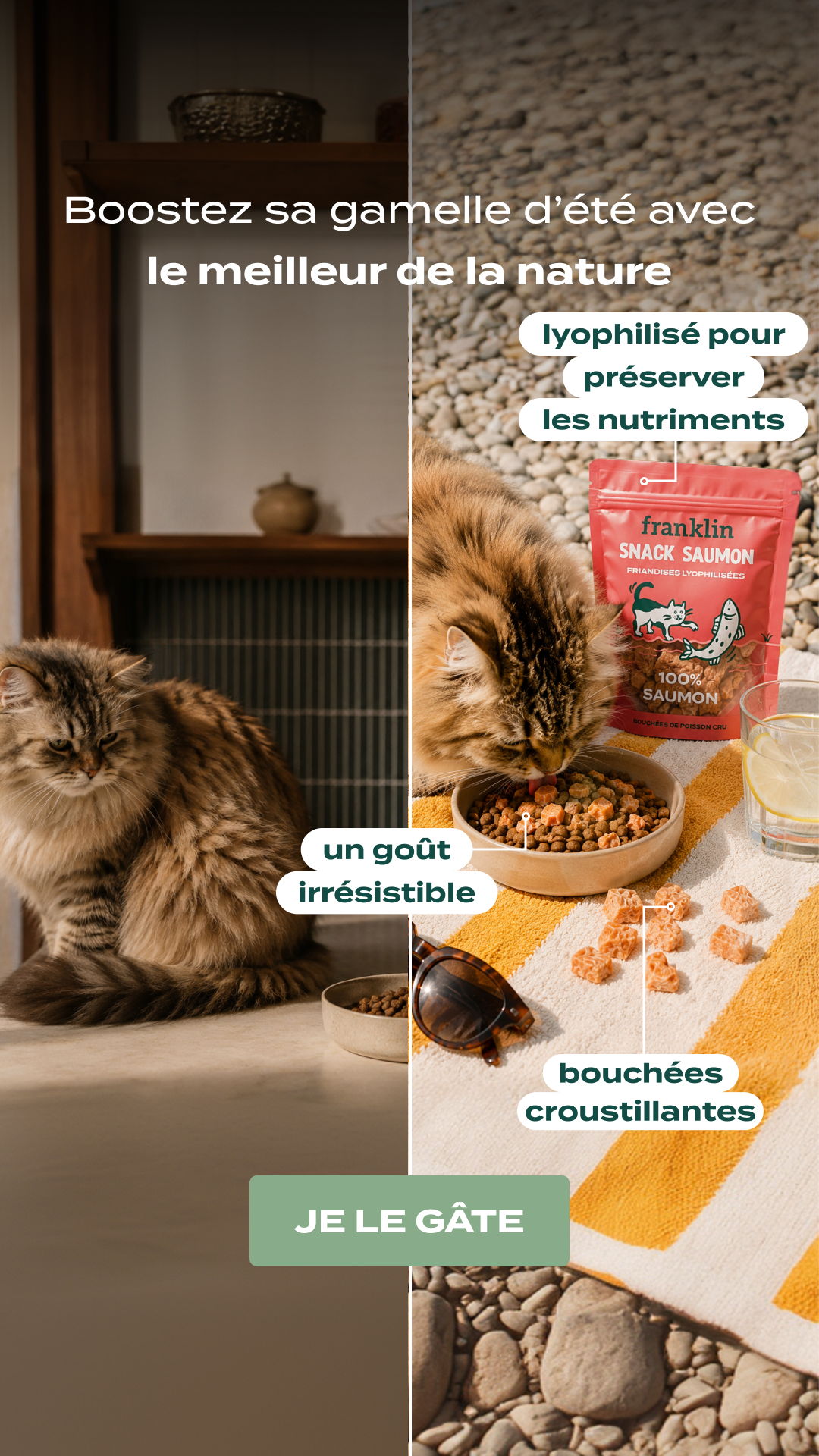 Franklin Pet Food Facebook ad