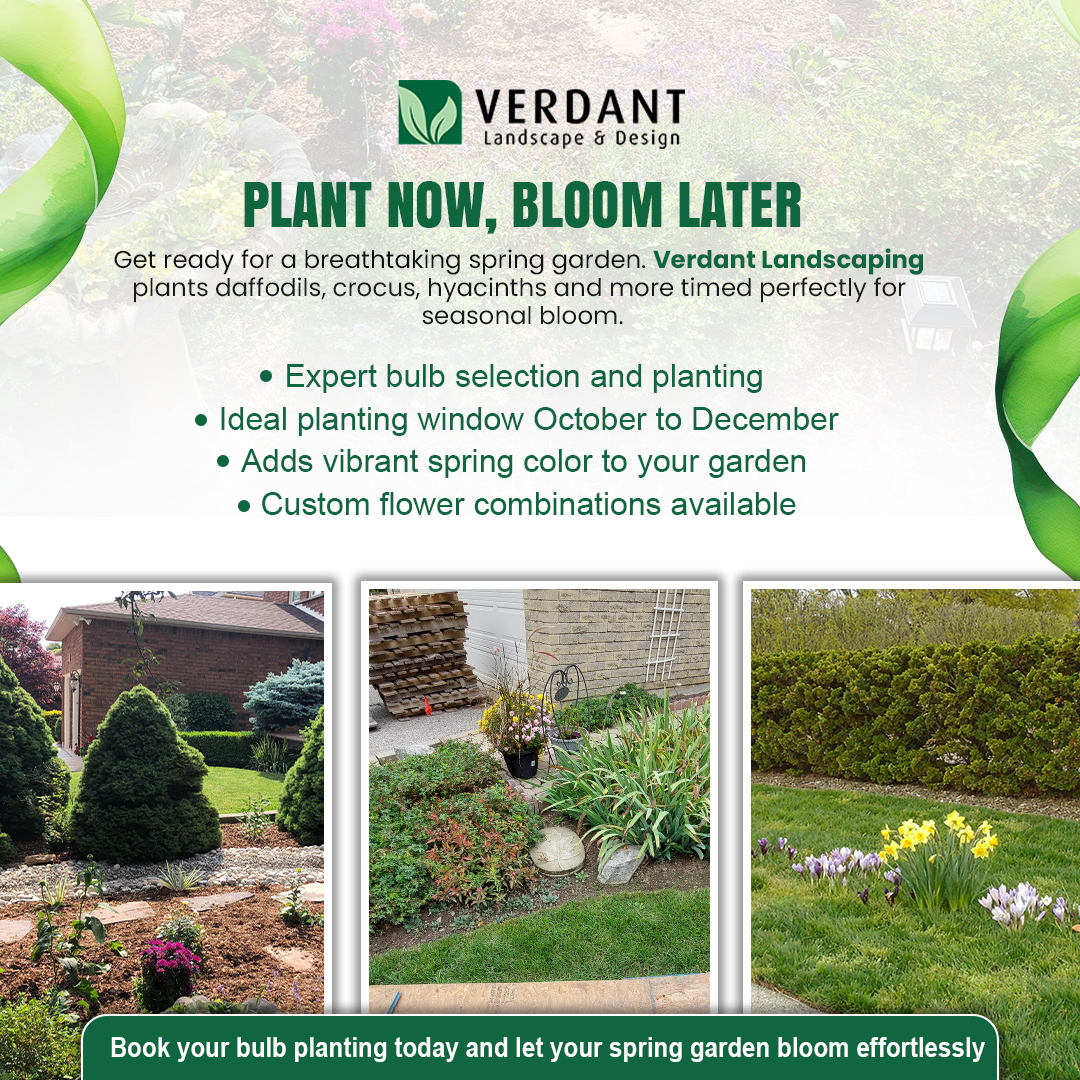 Verdant Landscape and Design Inc. Facebook ad: Transform Your Outdoor Space