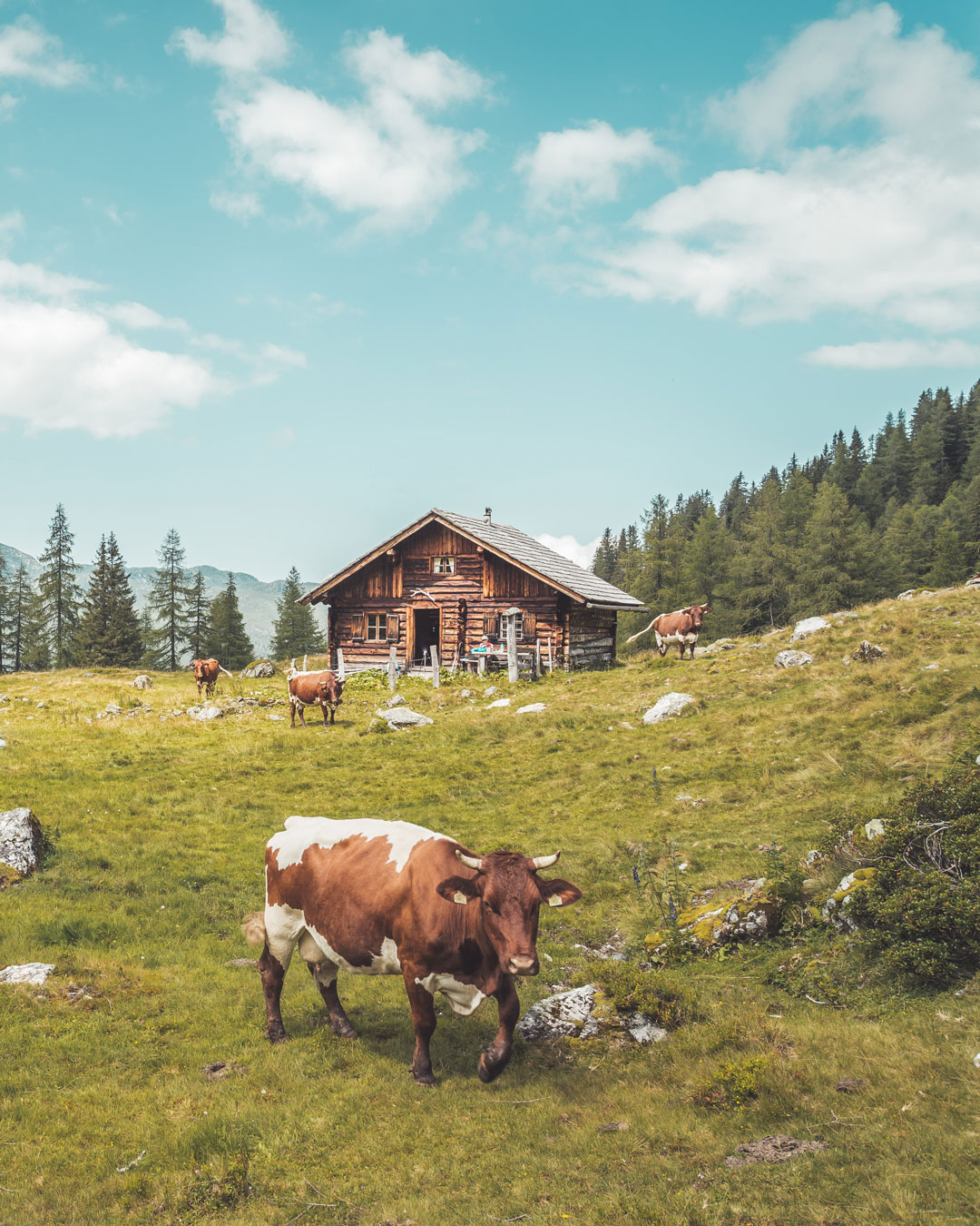 Welthaus Graz Facebook ad: Wandern mit Weitblick