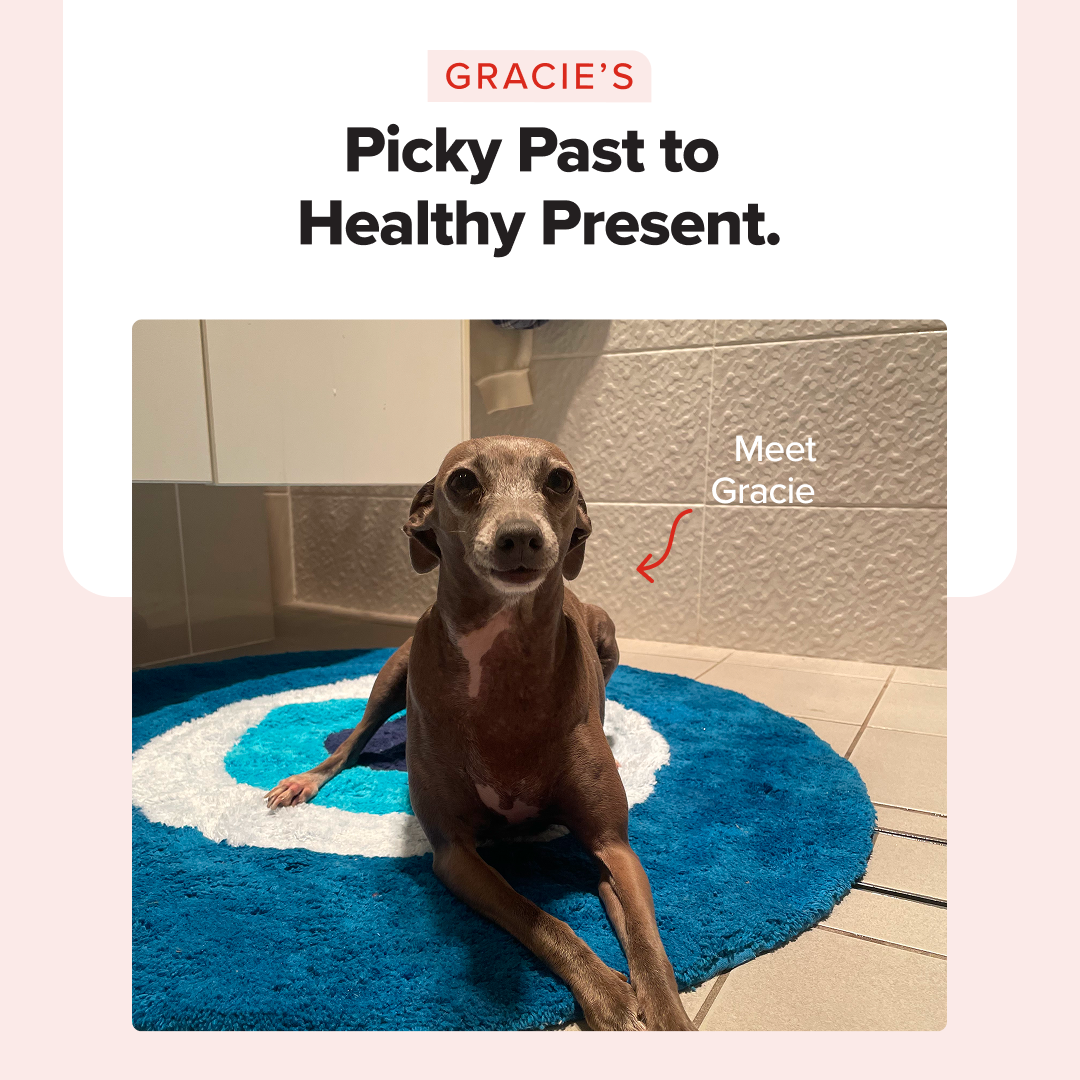 Prime100 Facebook ad