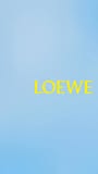LOEWE Facebook ad