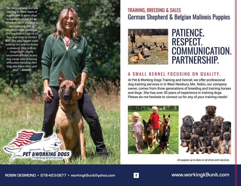 Runchkin Hill Farm and Kennel Facebook ad: HOME | Runchkin Hill Farm