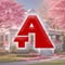 Tom Adams Windows and Carpets