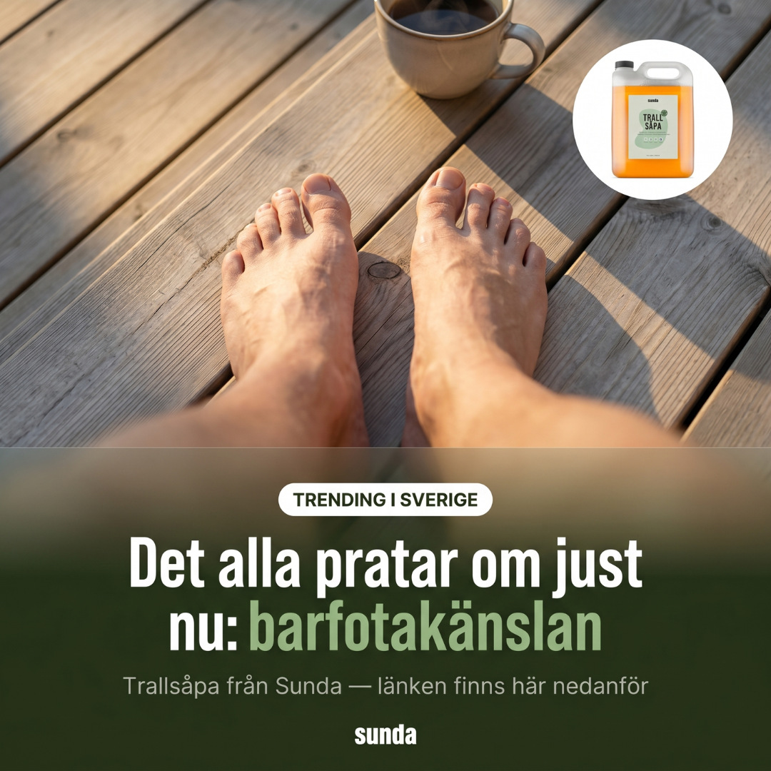 Sunda Facebook ad