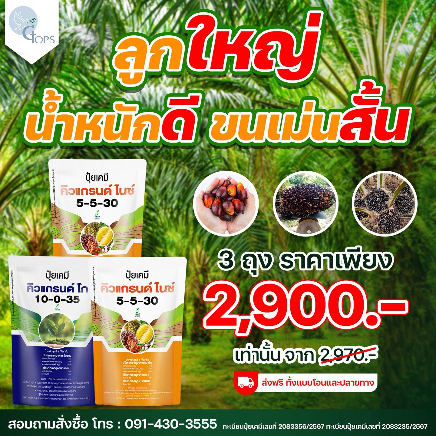 ปุ๋ยคิวแกรนด์ - ปุ๋ยปาล์มลูกดก ทลายใหญ่ น้ำหนักดี ต้นสมบูรณ์ Facebook ad: ลงทุนหลักพัน กำไรหลักหมื่น!
