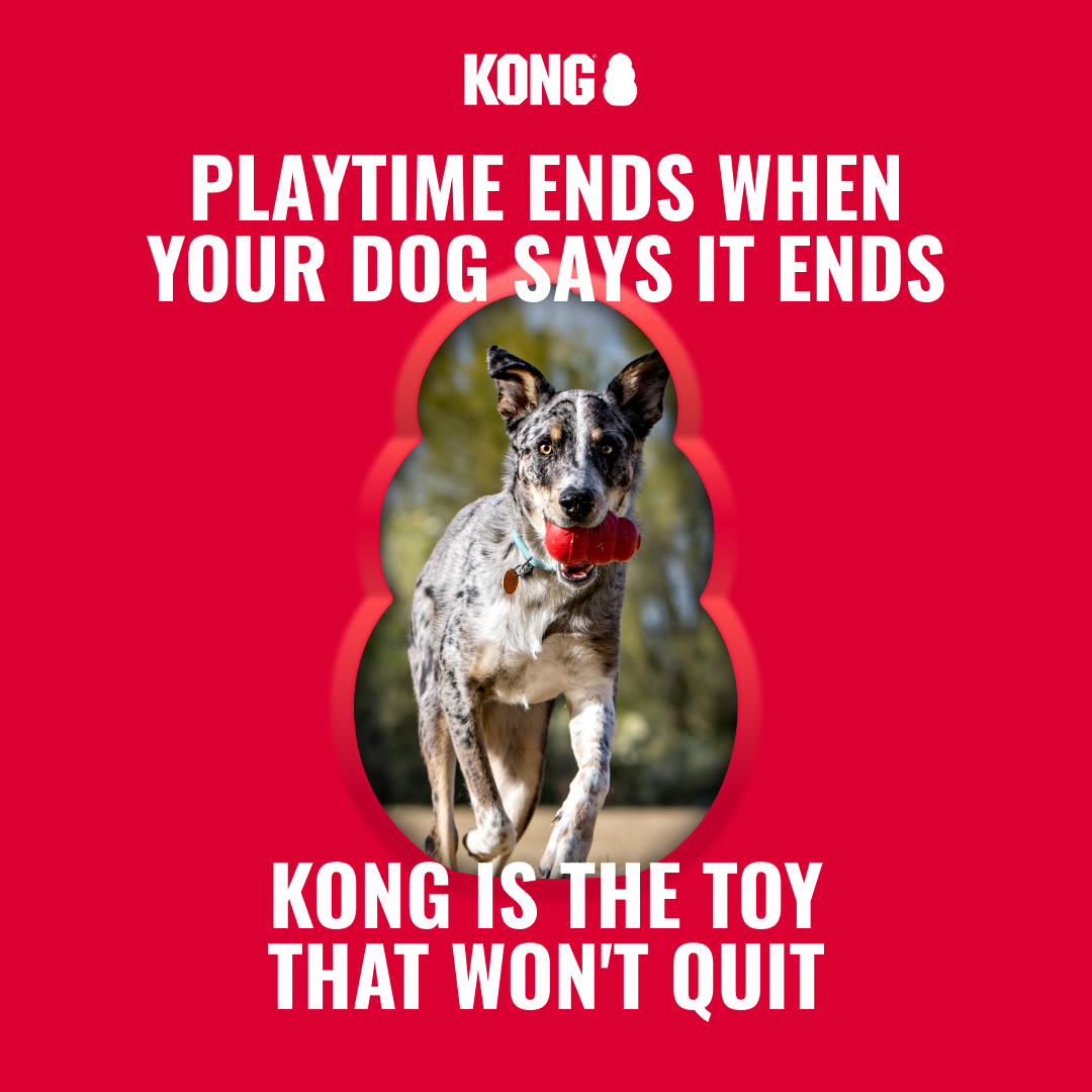 KONG Facebook ad