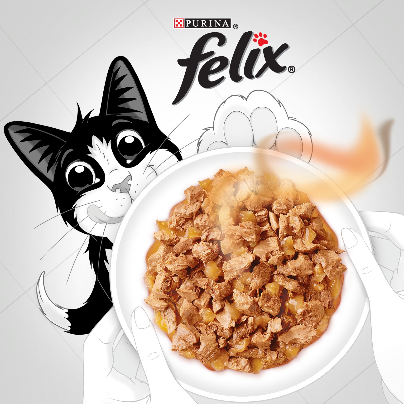 PURINA Philippines Facebook ad