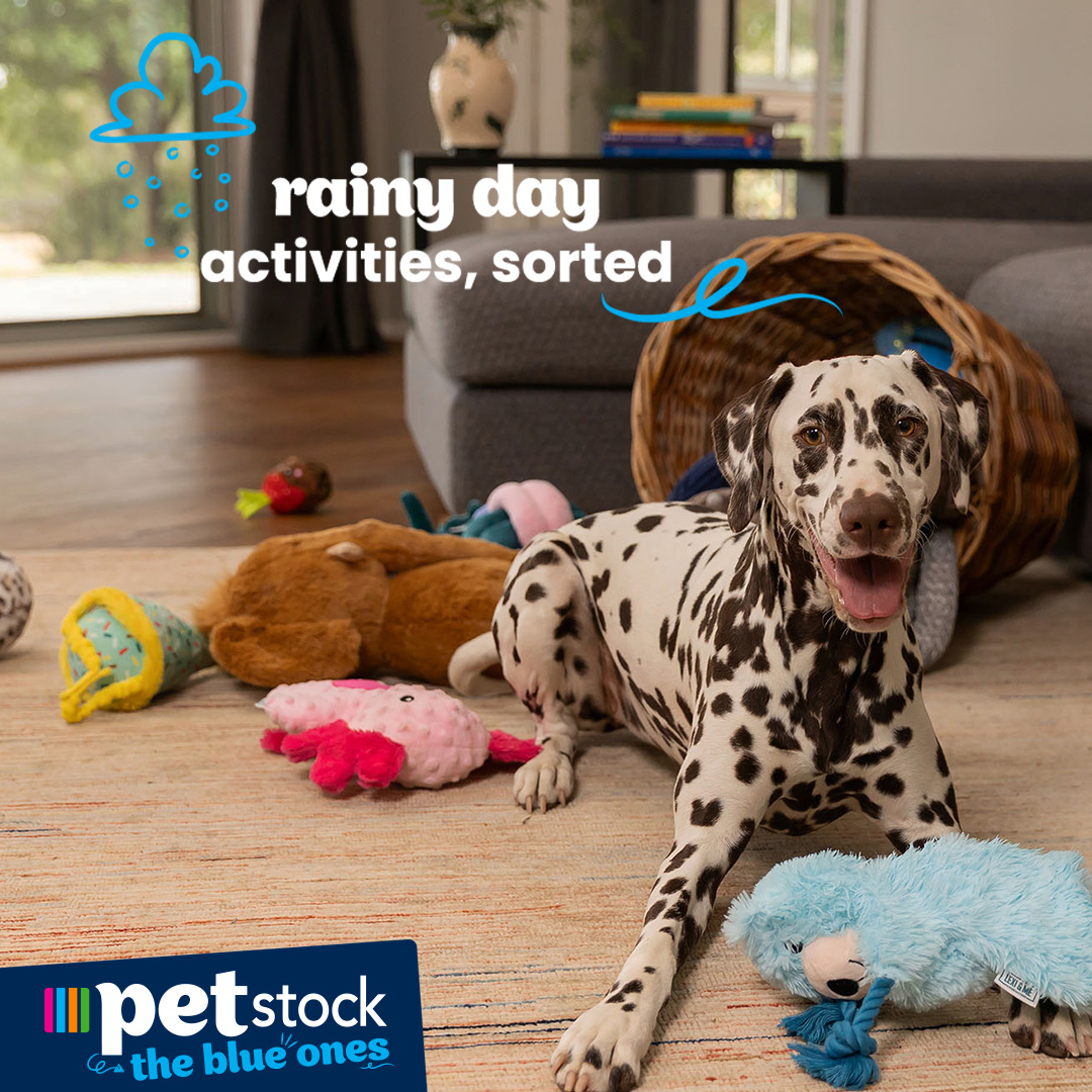 Petstock Facebook ad