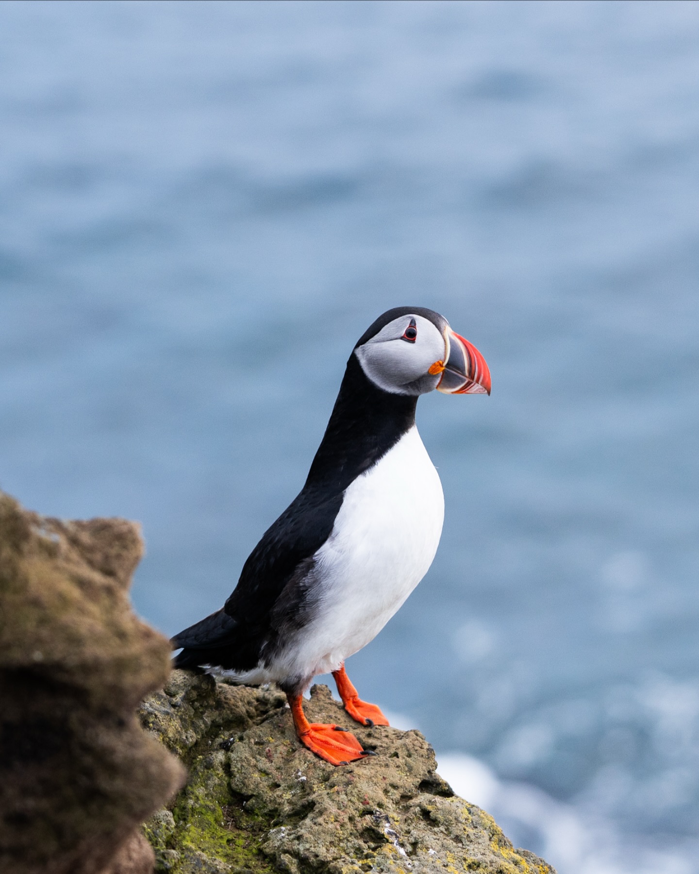 Visit Vestmannaeyjar Facebook ad