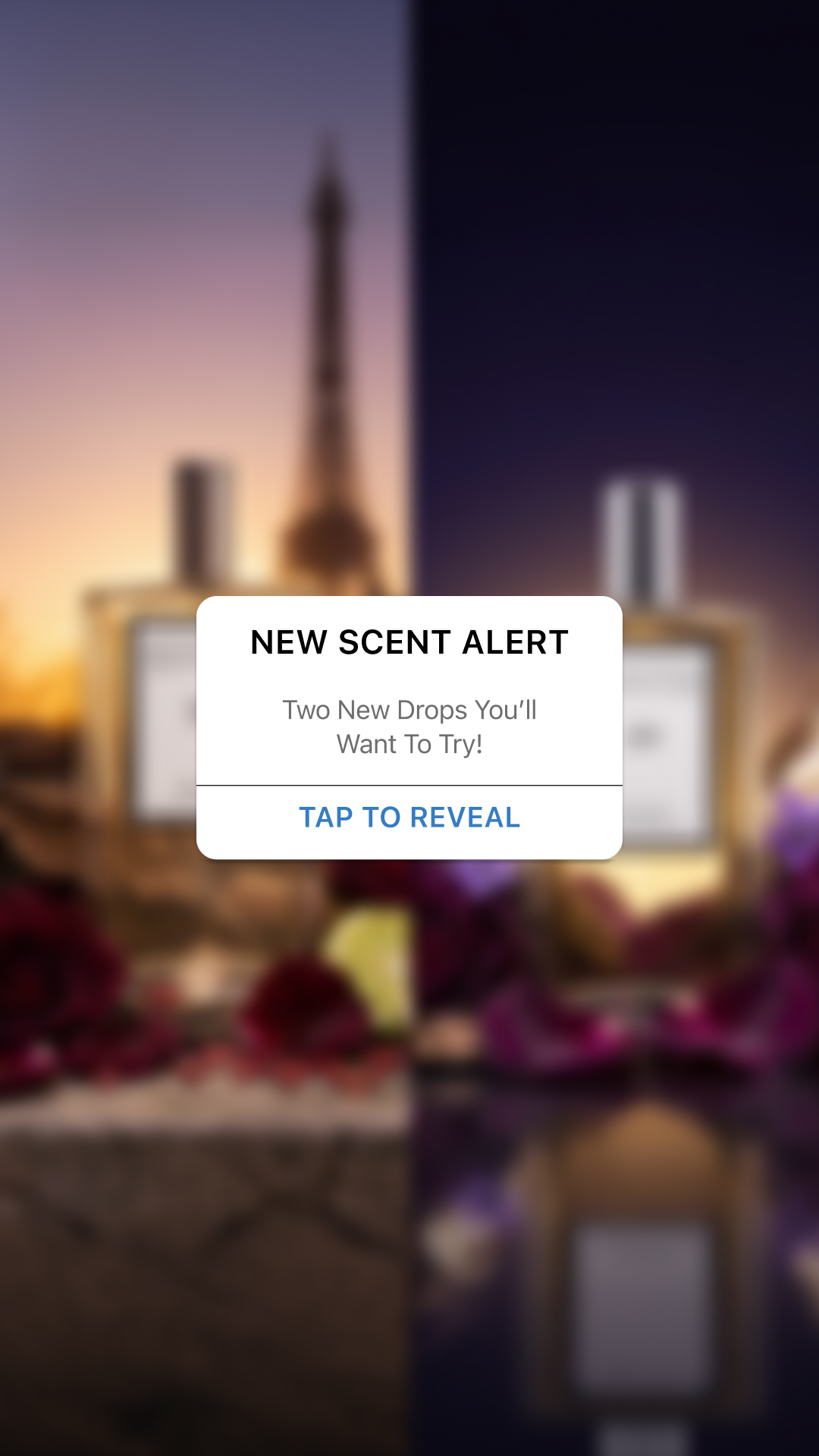 The Essence Vault Facebook ad