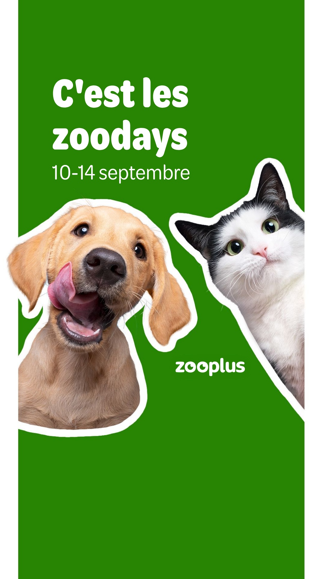 zooplus Facebook ad