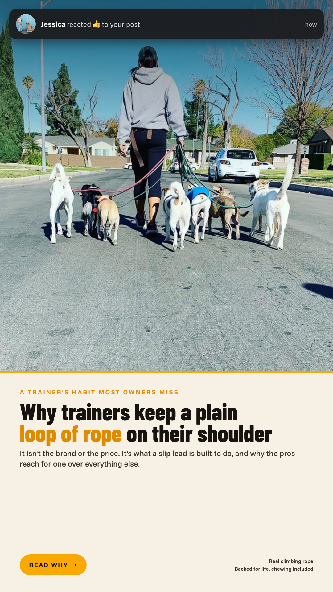 Mountain Dog Products Facebook ad