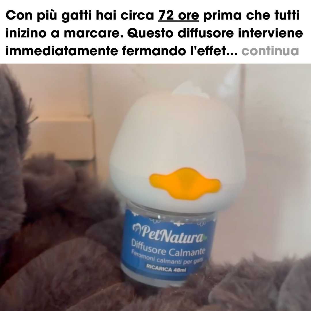 Maria Lipari Facebook ad
