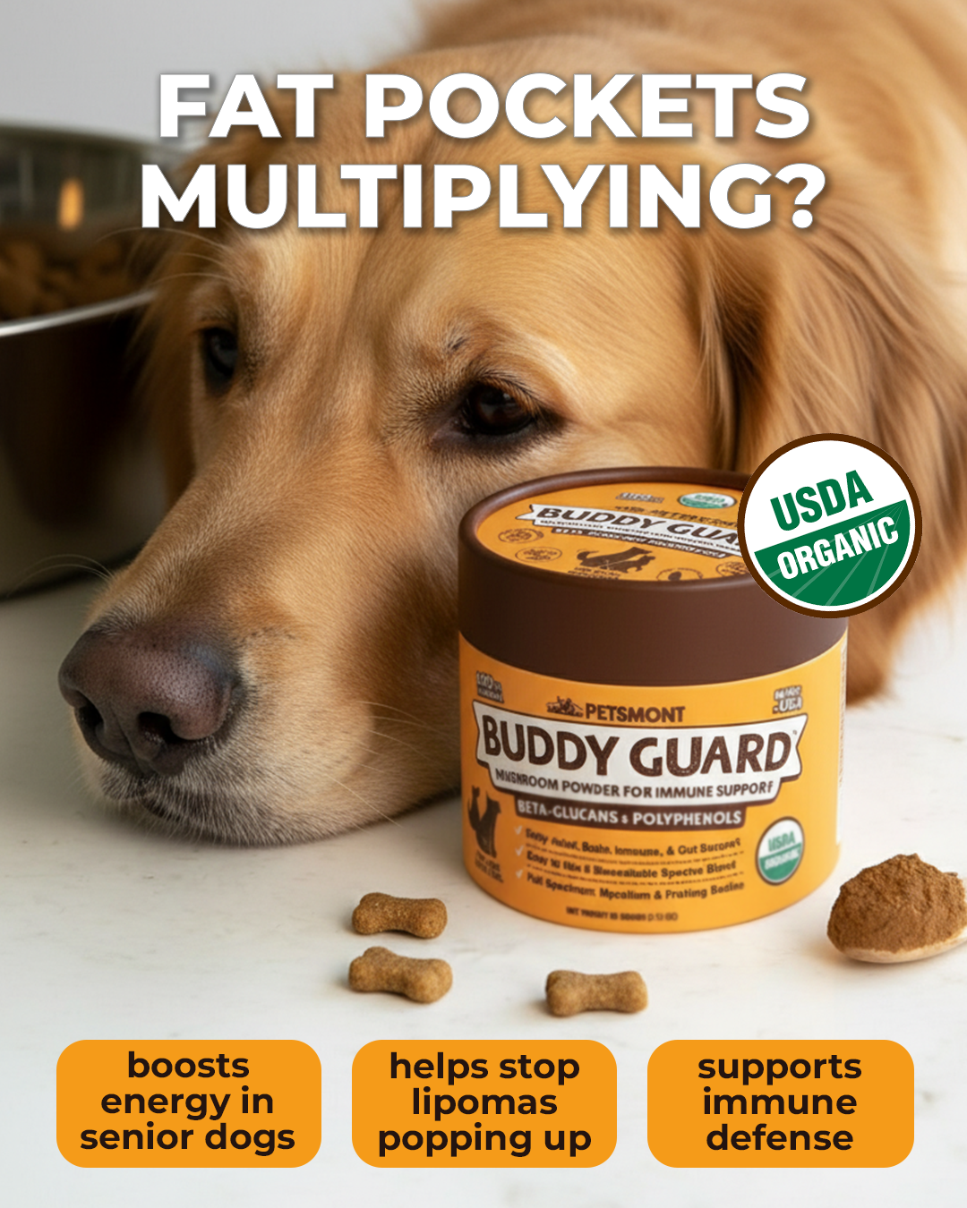 Petsmont Facebook ad