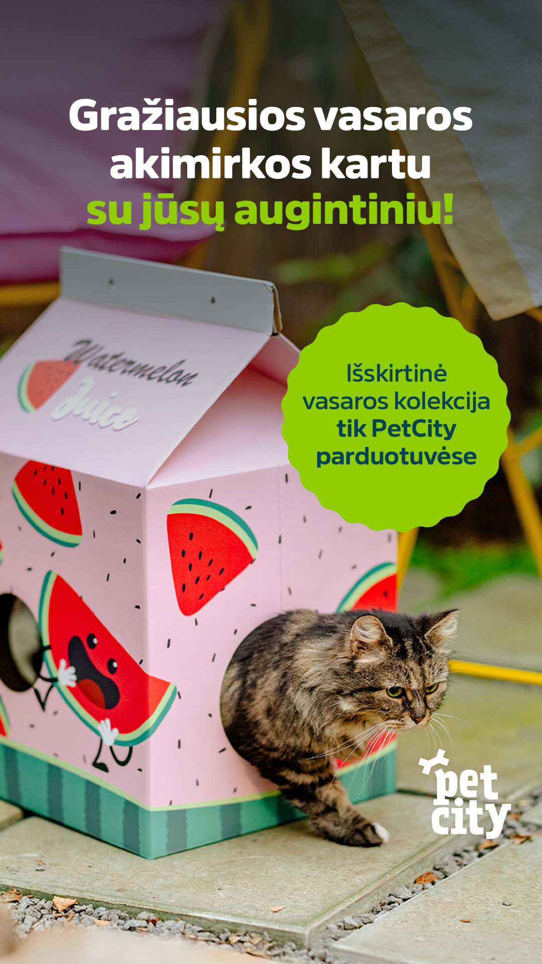 PetCity Lietuva Facebook ad