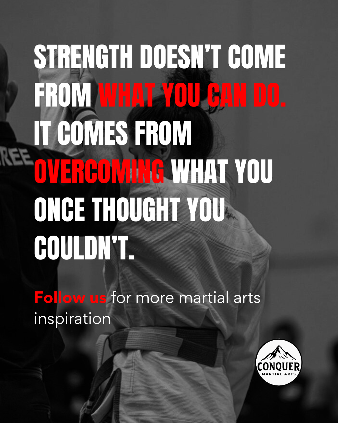 Conquer Martial Arts Facebook ad: Unleash Your Child's Potential This New Year