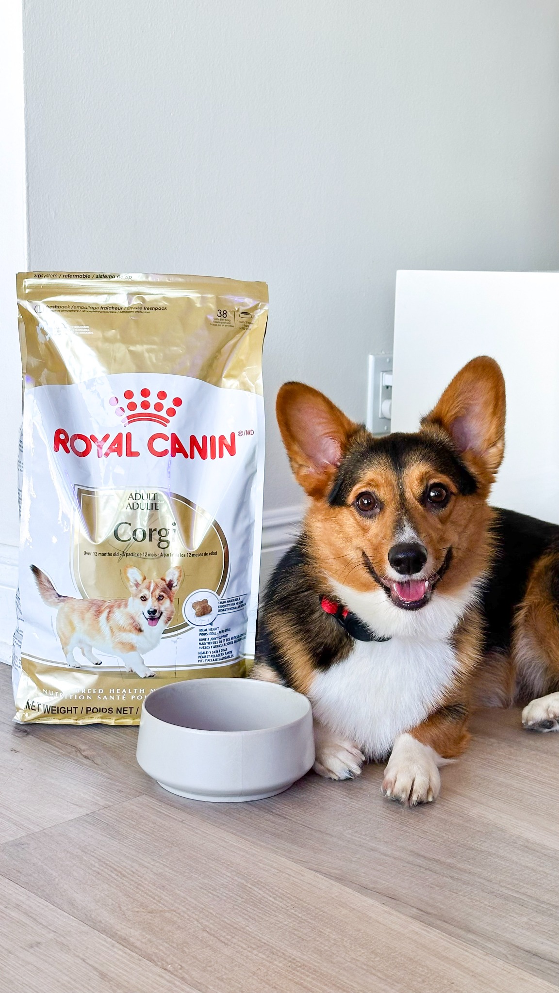 Royal Canin Facebook ad