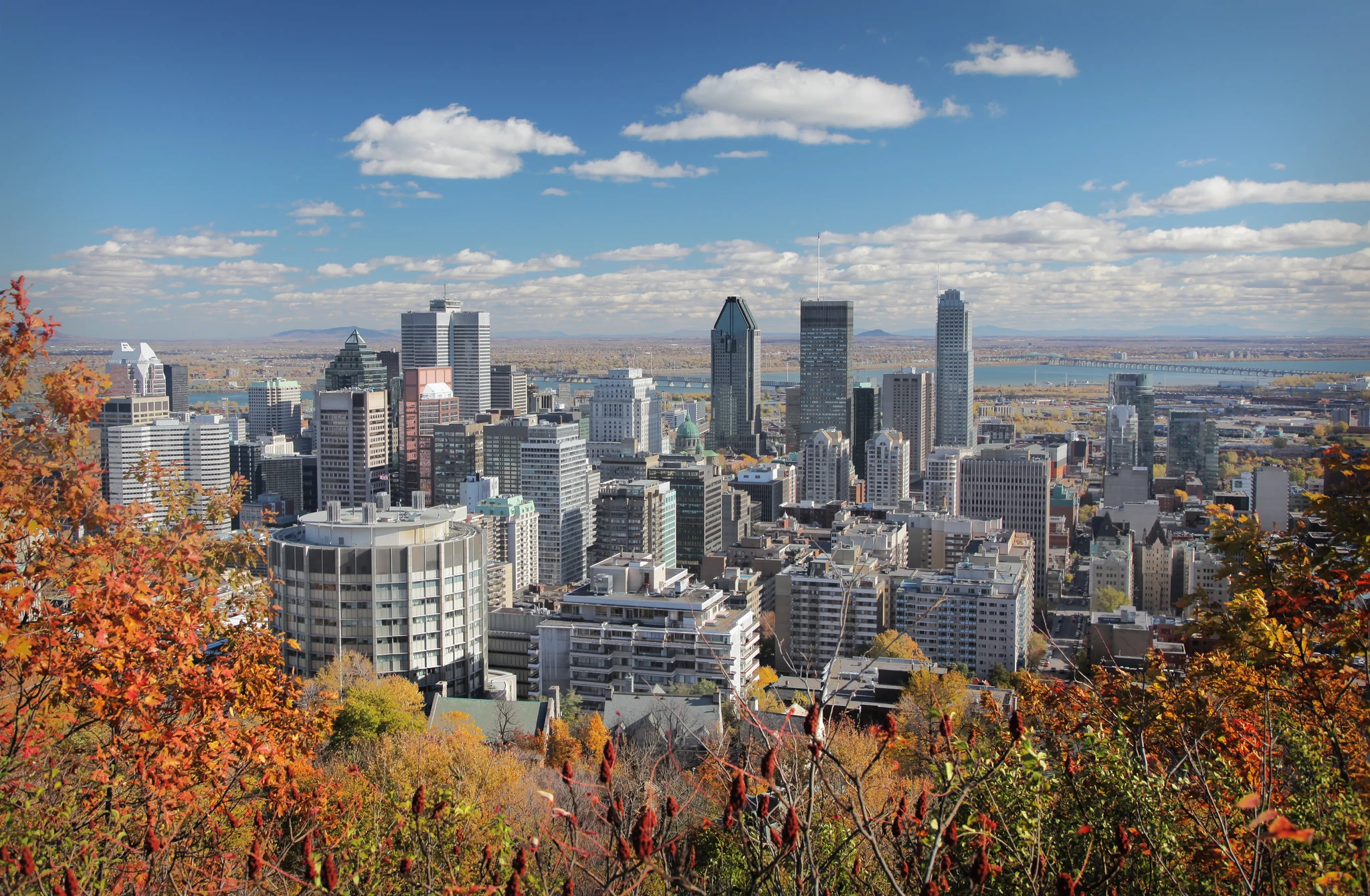 Collectif des Médias Indépendants - Montréal Facebook ad: Vivez Montréal au Quotidien: Des nouvelles locales aux…