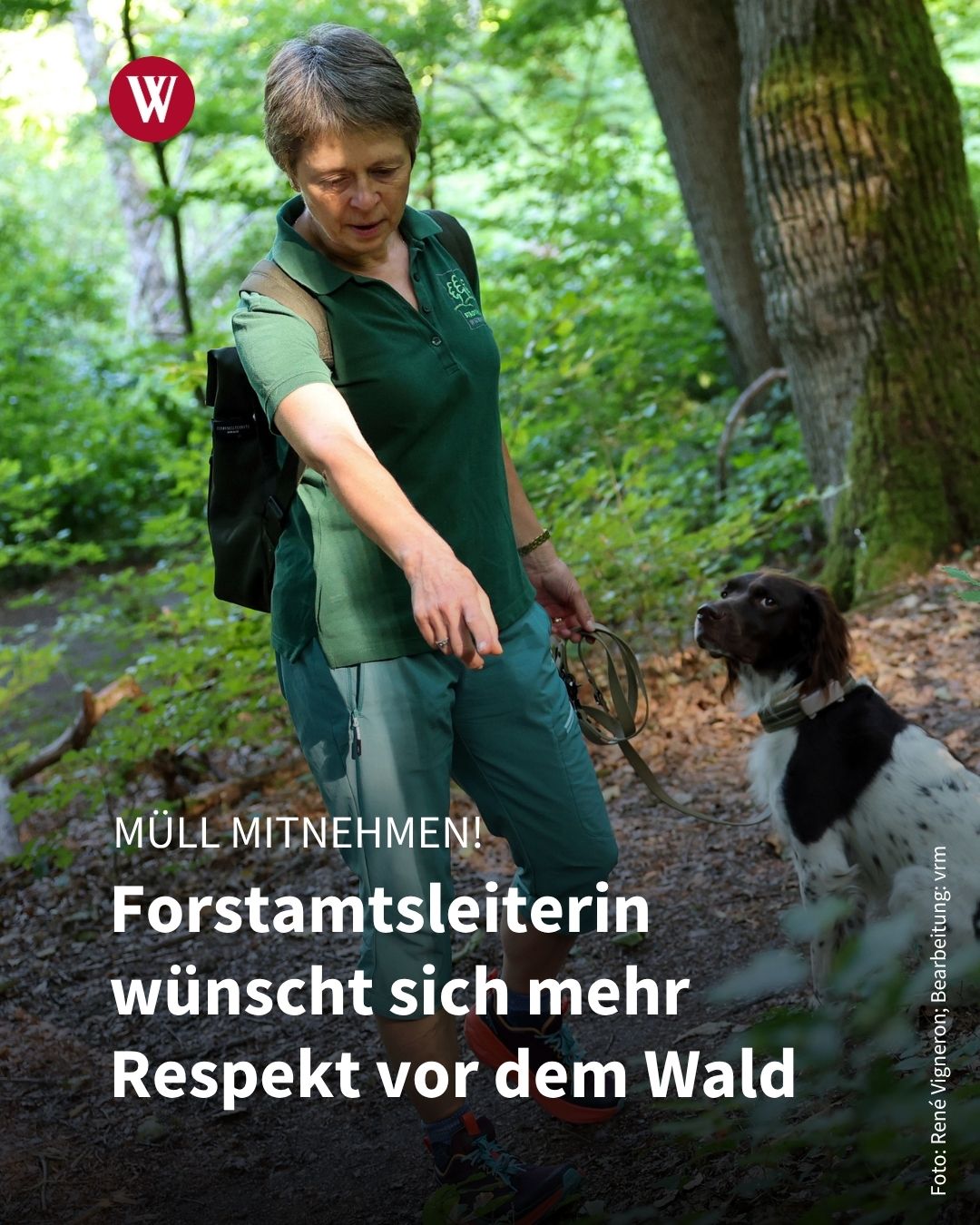 Wiesbadener Kurier Facebook ad: Hitze und Trockenheit setzen dem Wiesbadener Stadtwald zu.