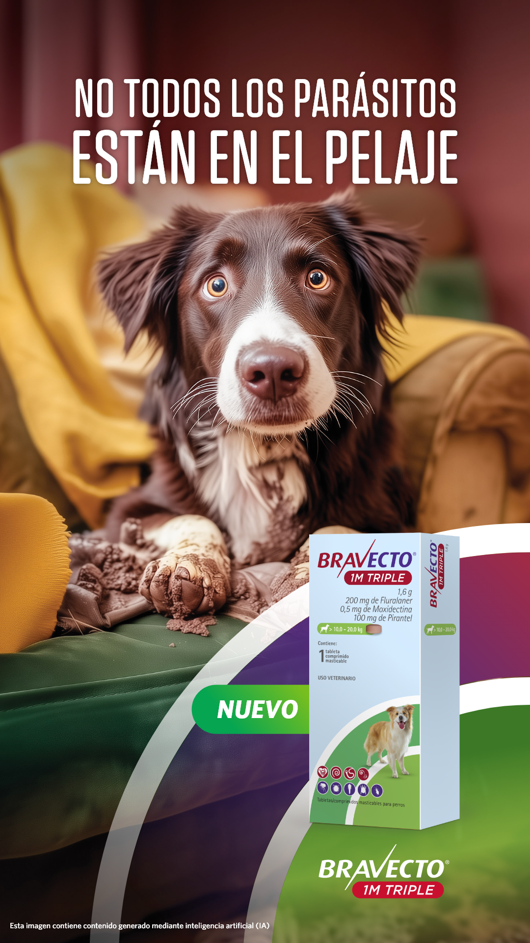 Bravecto LATAM Facebook ad