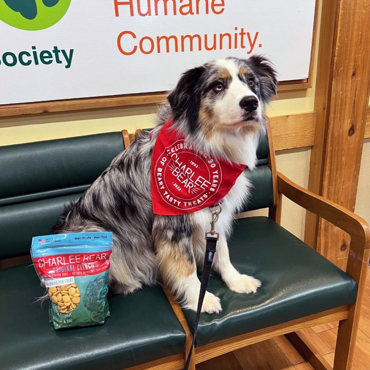 Charlee Bear Dog Treats Facebook ad: At Charlee Bear Dog Treats, we rescue pups…