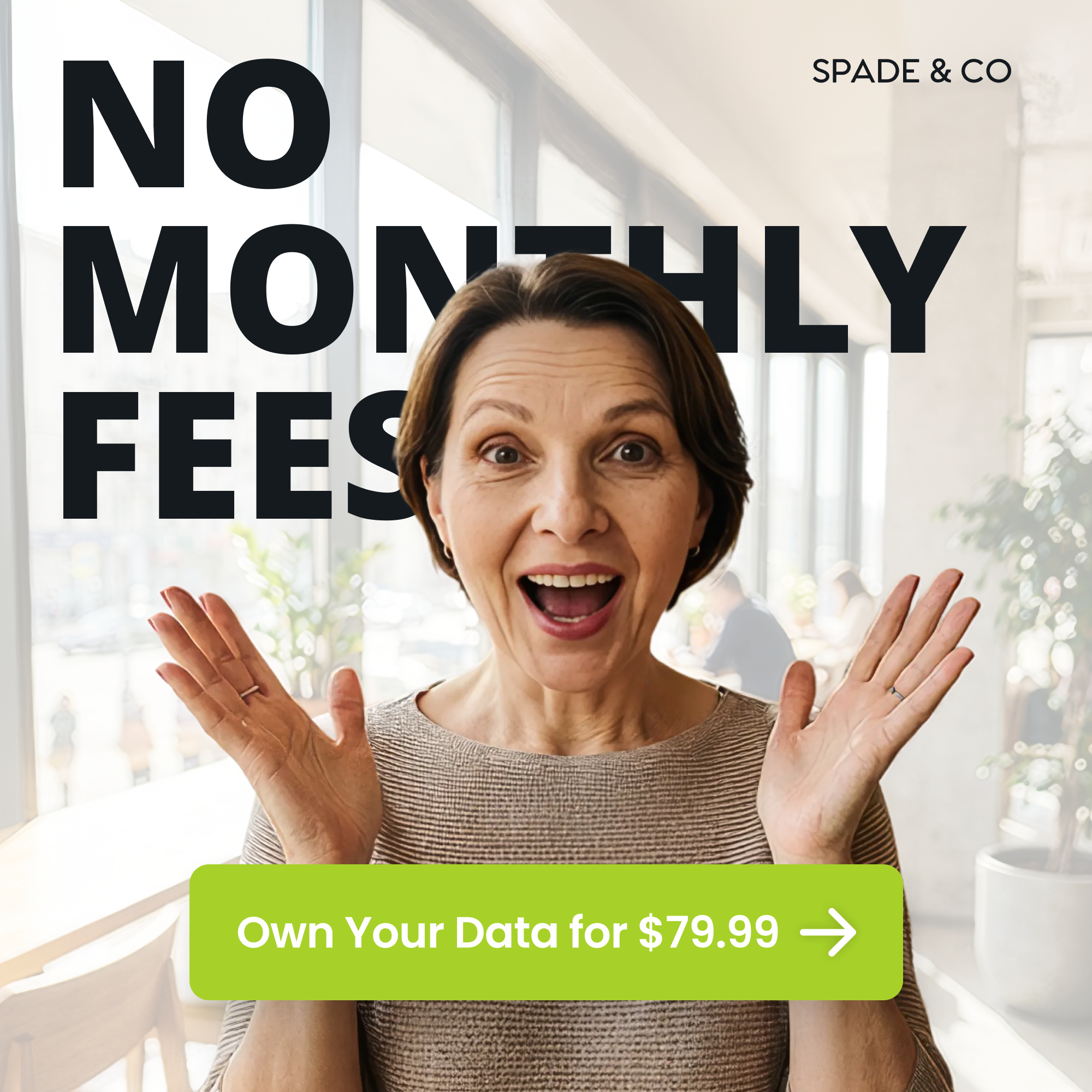 Spade & Co Facebook ad
