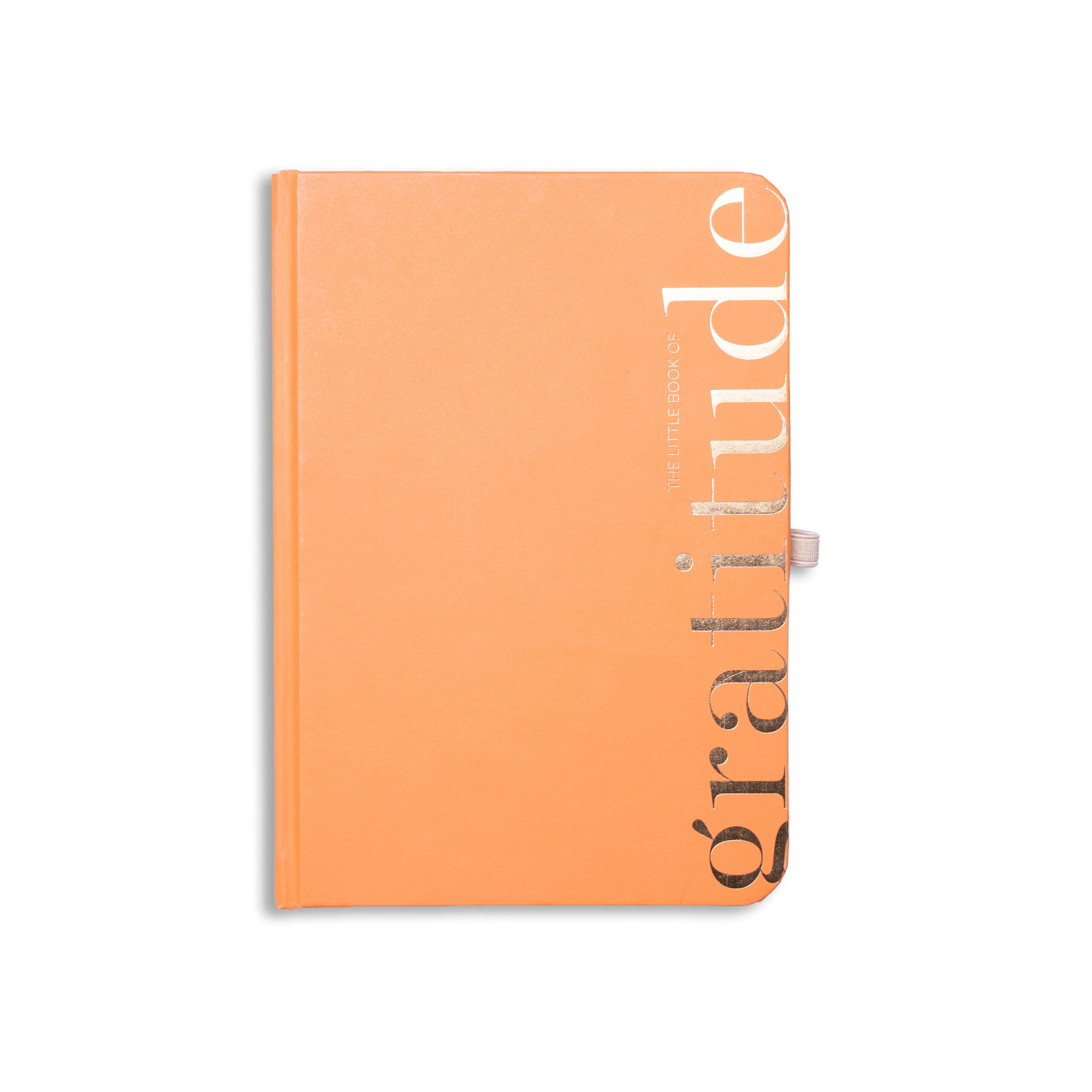 Write Concept. Facebook ad: Plan better. Stay organized.