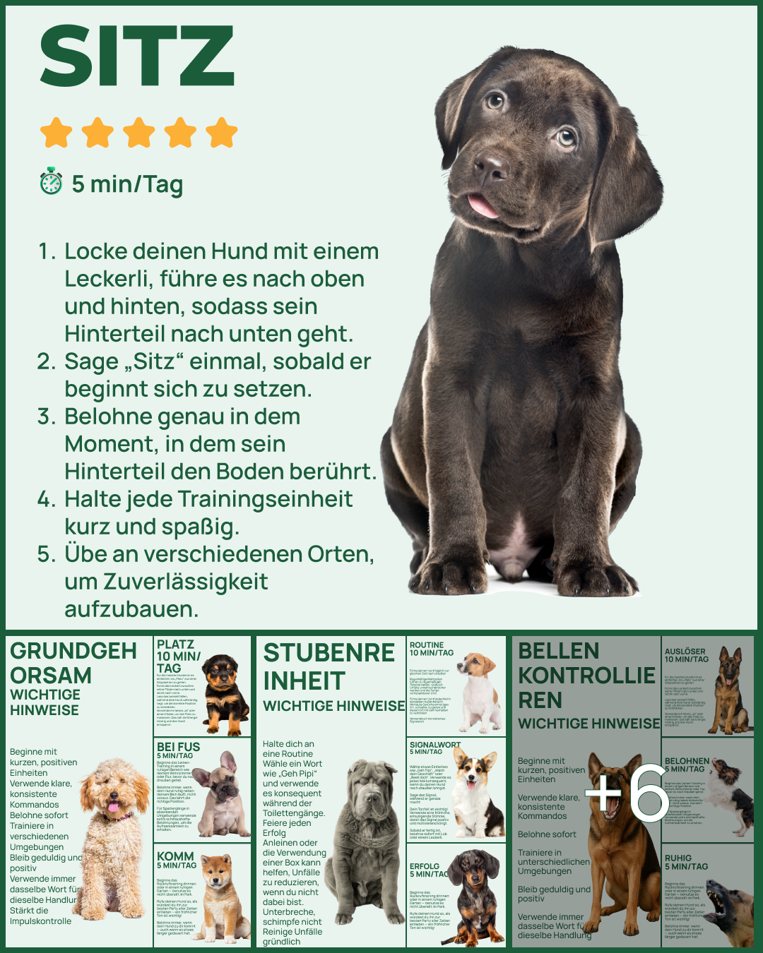 Dogo Facebook ad