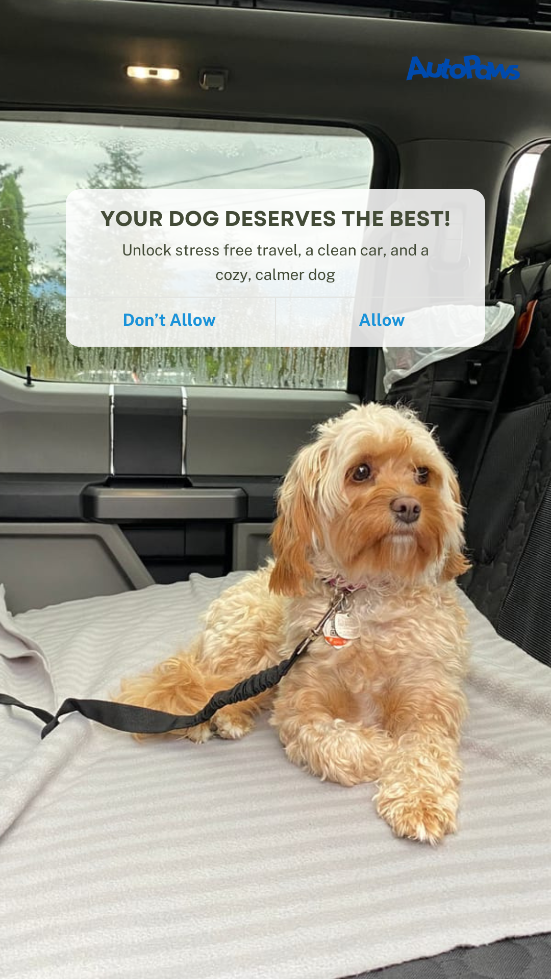 AutoPaws Facebook ad