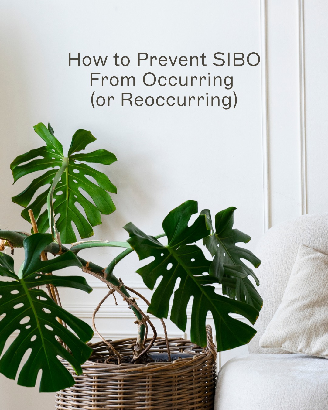 Amy Myers MD Facebook ad: Supporting gut health is key to preventing SIBO…