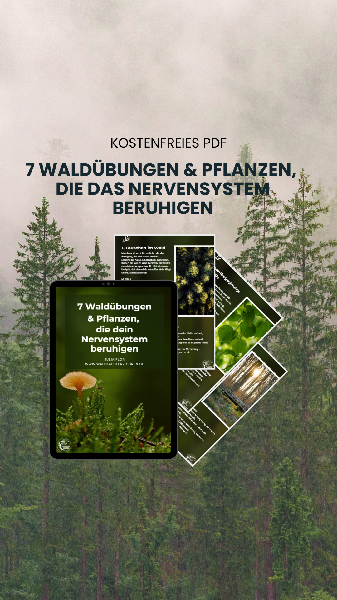 Julia Flor Waldläufer-Touren Facebook ad from Jan 29, 2026