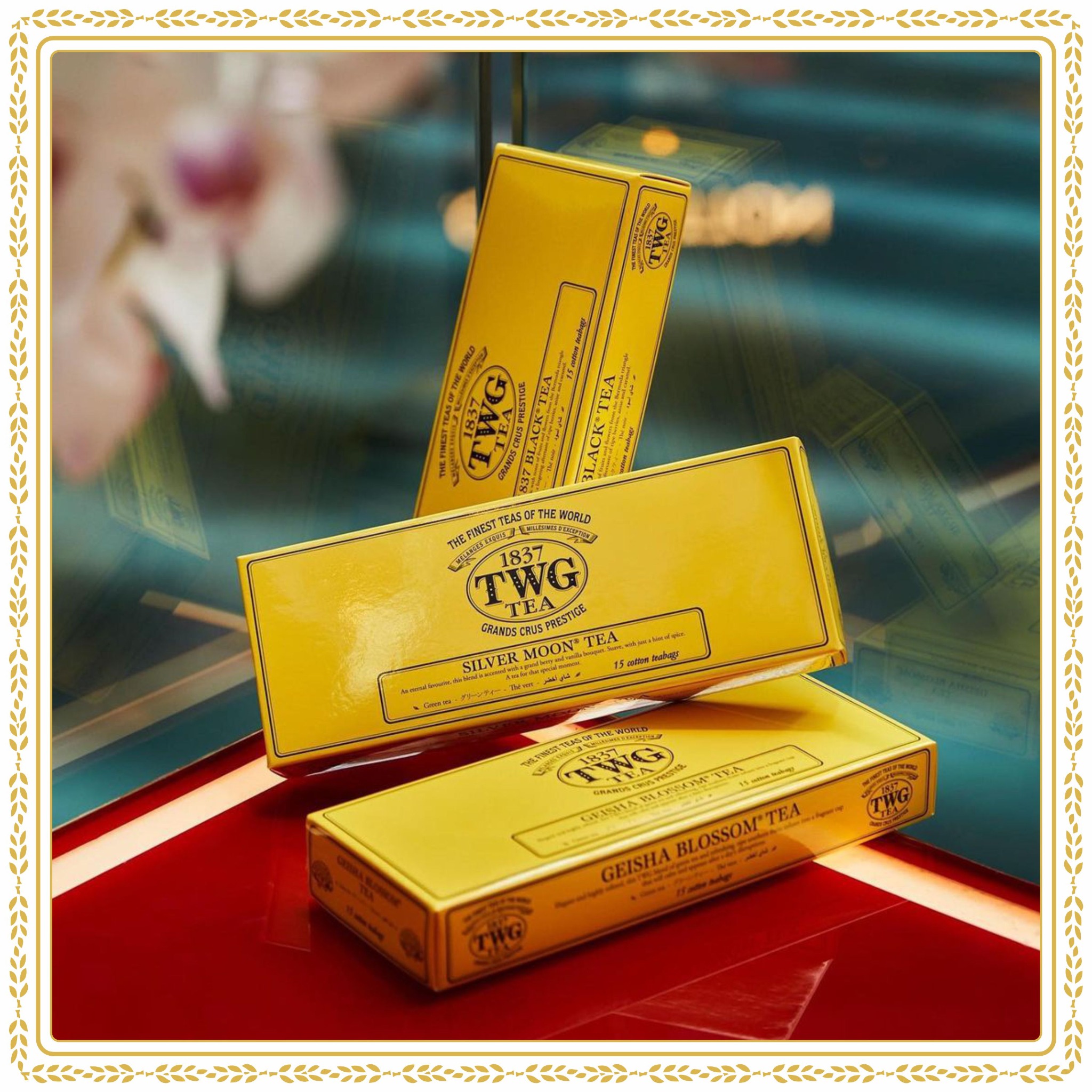 TWG Tea India Facebook ad: Explore our exclusive range of luxurious TWG teas…