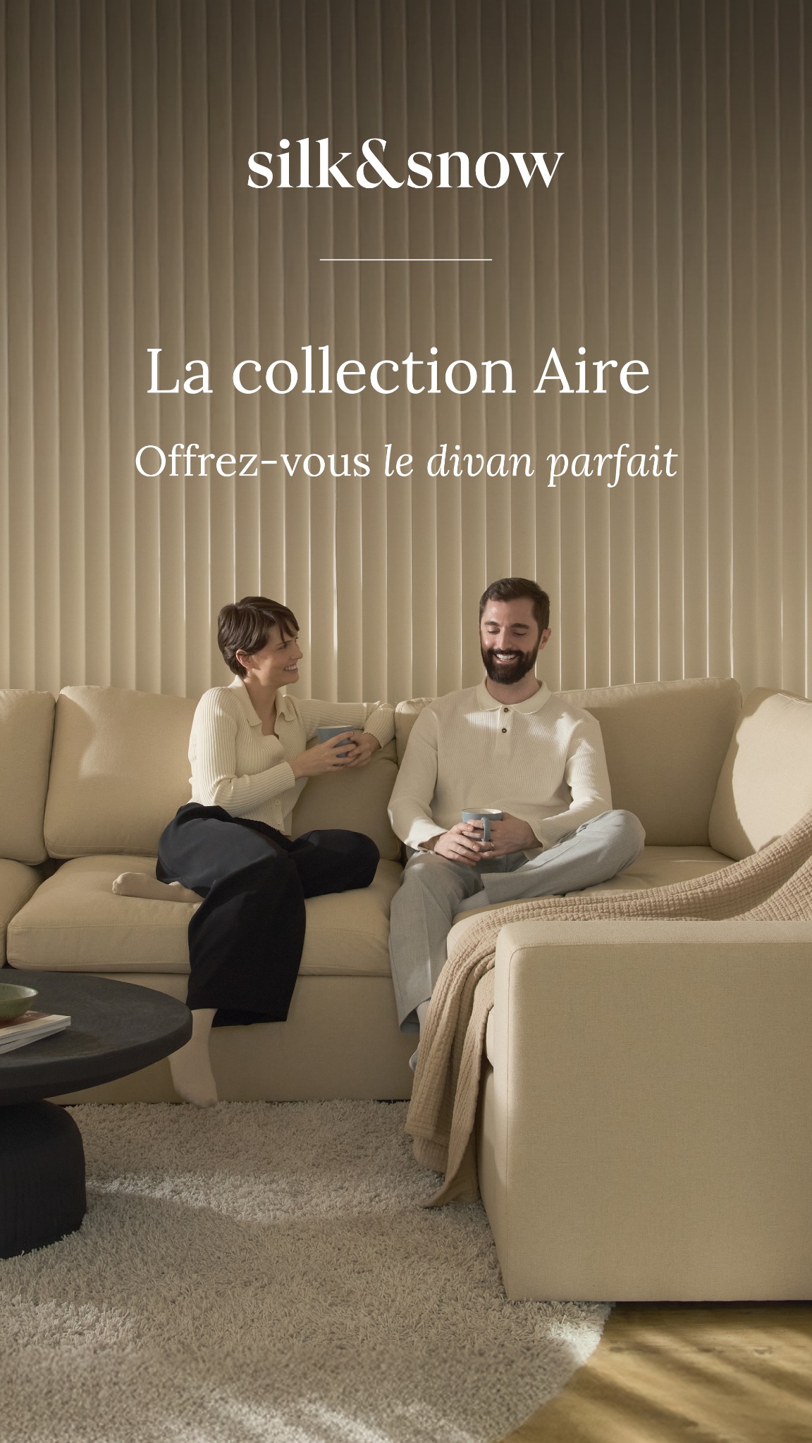 Maison Silk & Snow Facebook ad