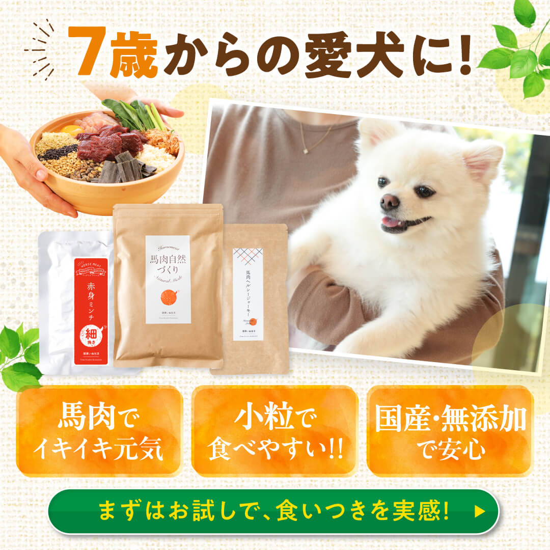 健康いぬ生活 Facebook ad