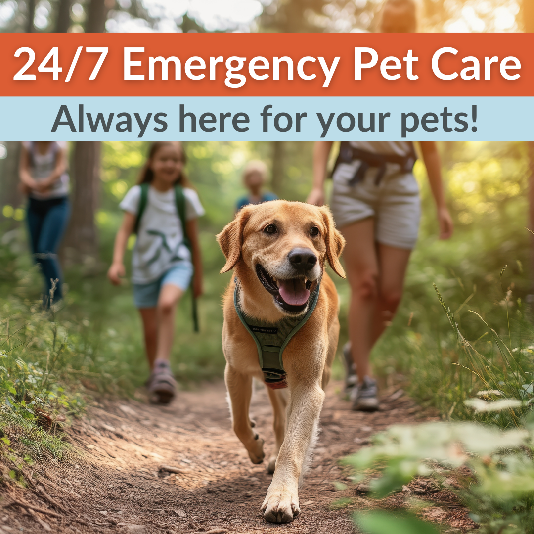 Southern Rockies Animal Emergency + Specialty Facebook ad: At Southern Rockies Animal Emergency + Specialty, we…
