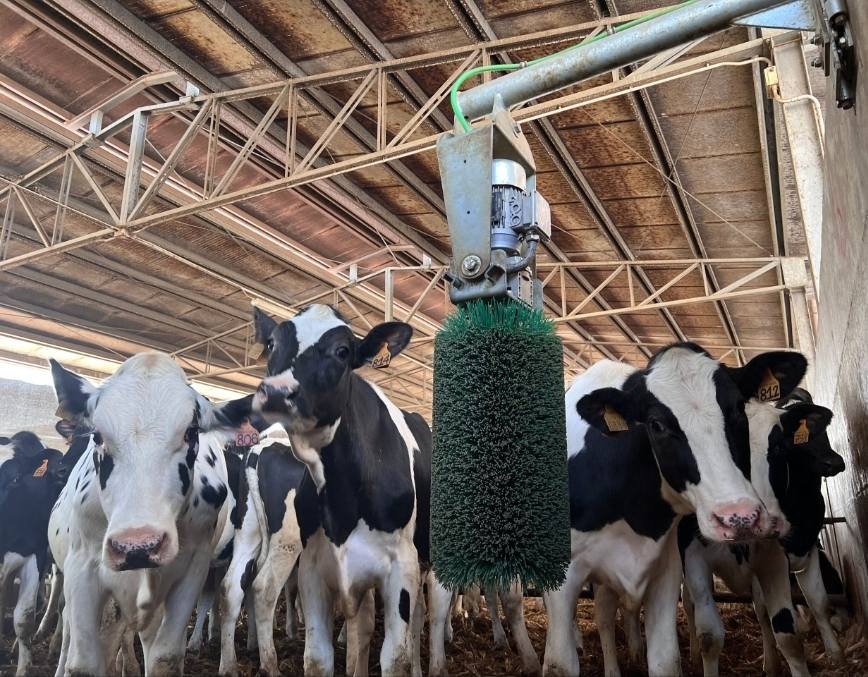 Agri Market Insight & Access Ltd Facebook ad: Don't miss out on the FETF 2026 Grants.