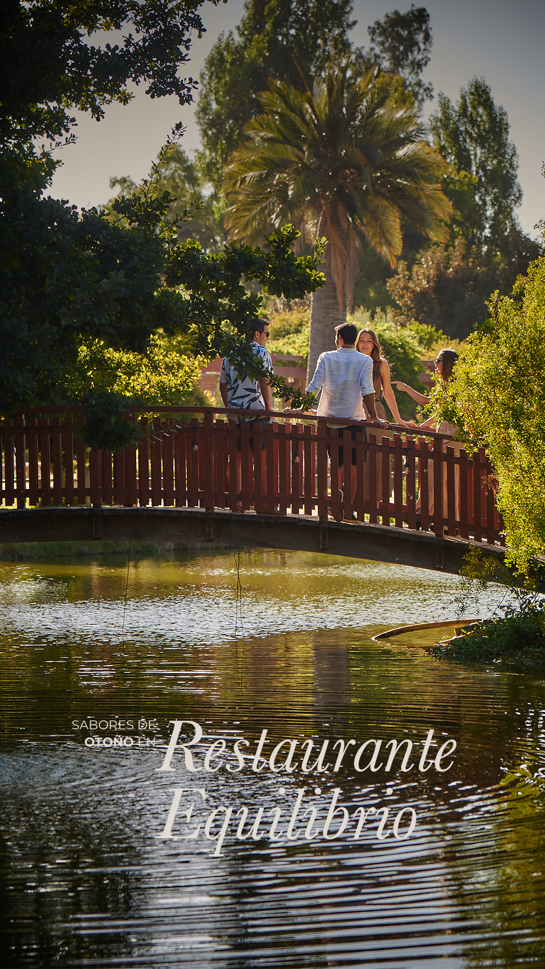 Matetic Turismo Facebook ad from Jun 8, 2026