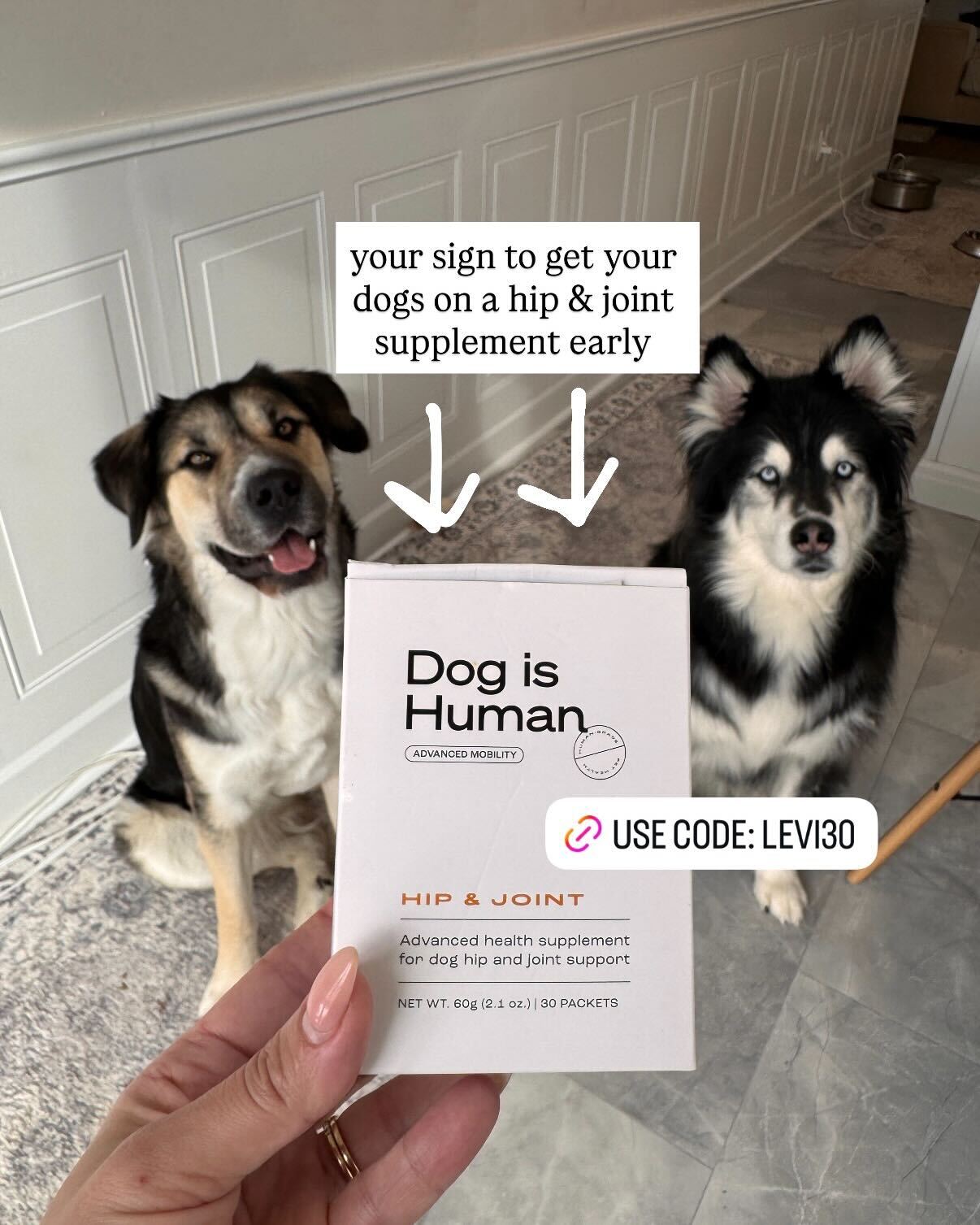 Dog is Human Facebook ad