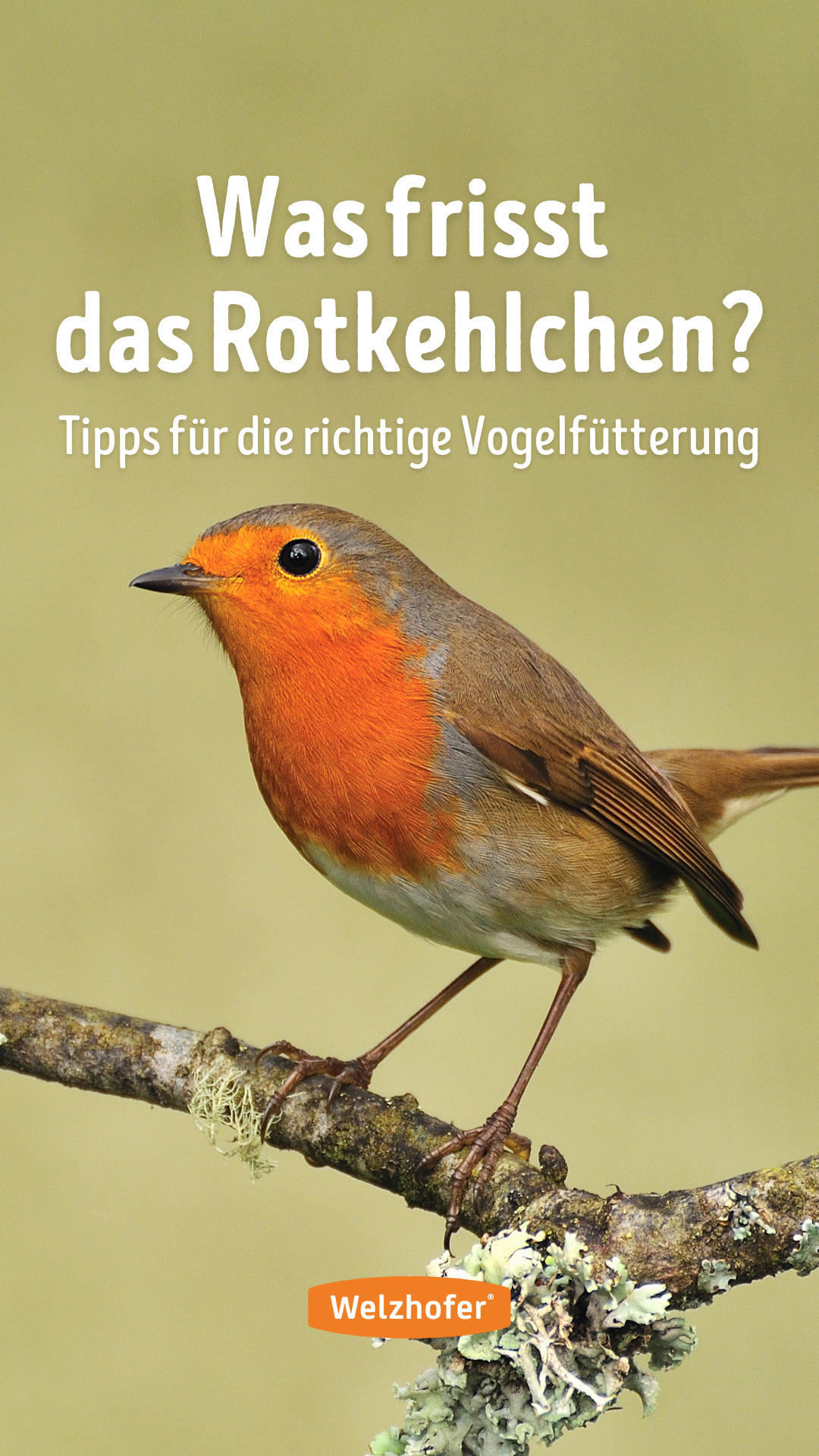 Welzhofer - Heimat für Wildvögel - Facebook ad from Mar 17, 2025