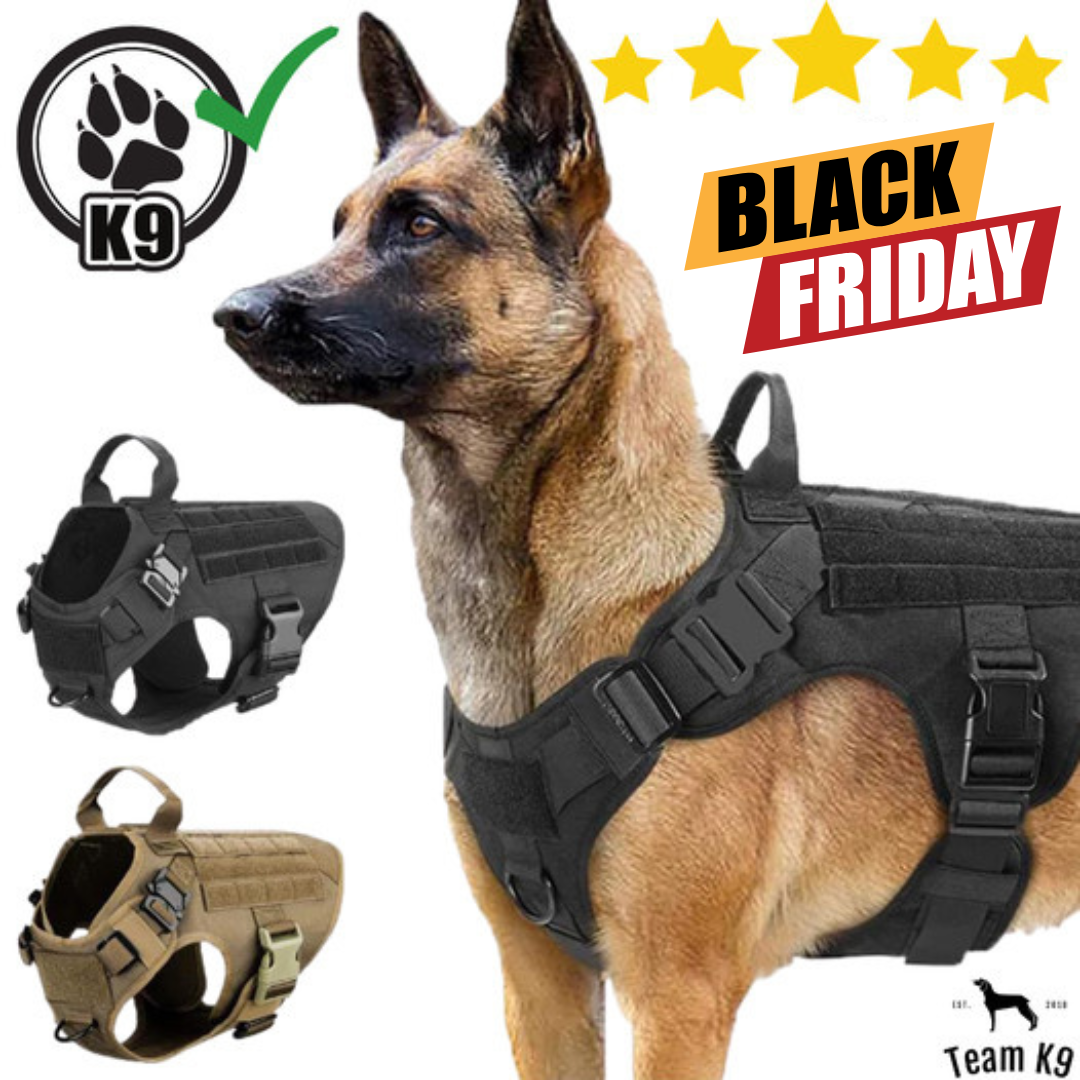 Team K9 Facebook ad