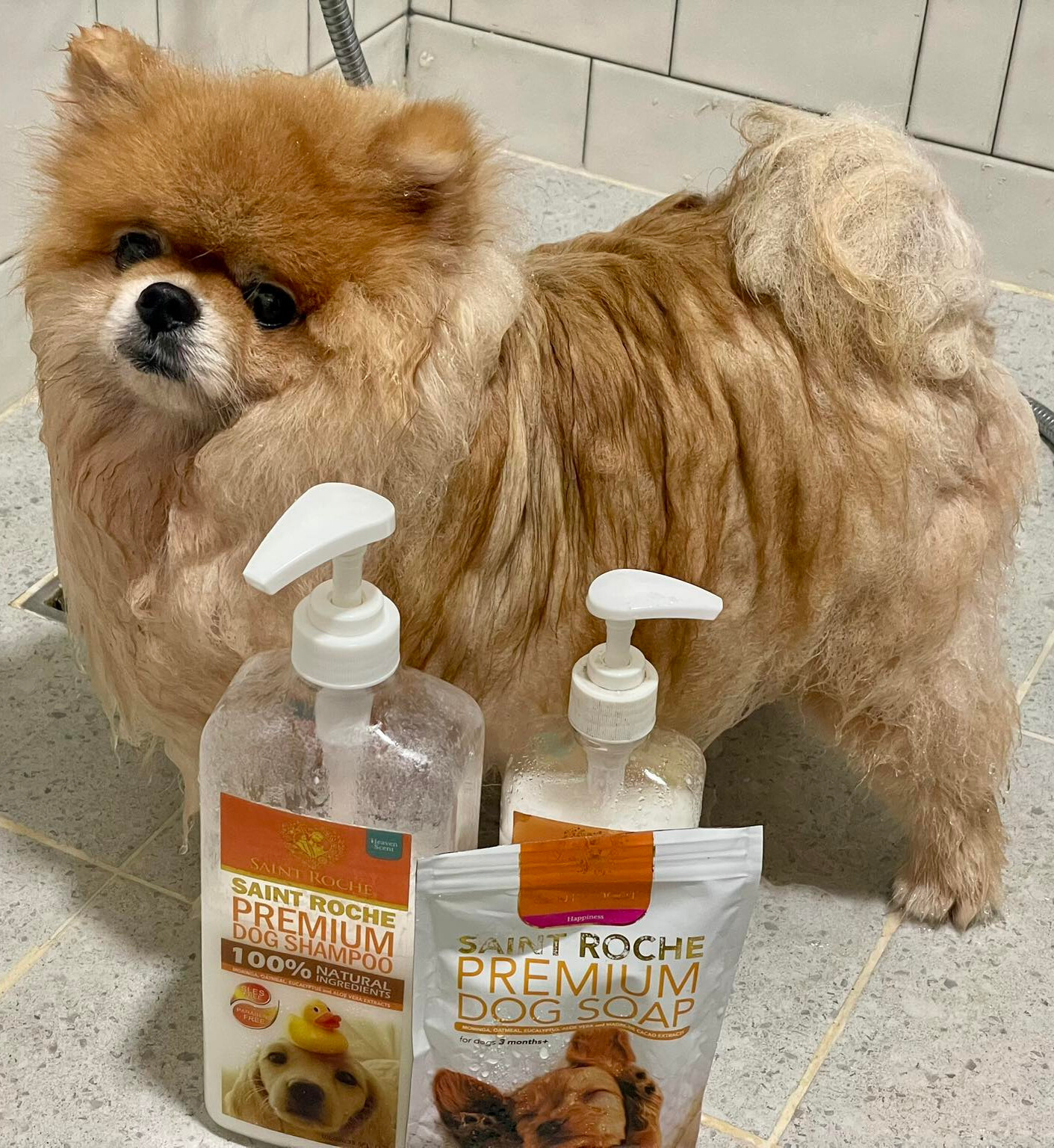 Saint Roche Premium Dog Shampoo Facebook ad