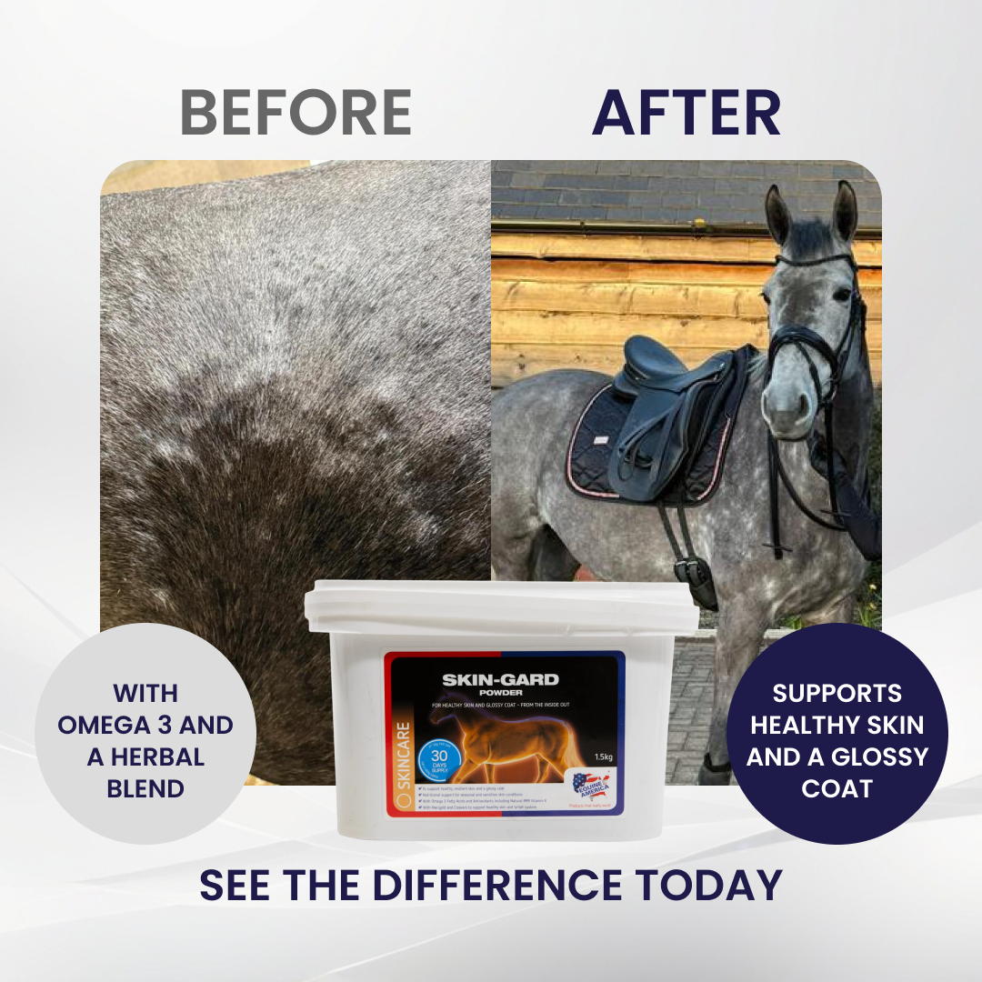 Equine America EU Facebook ad