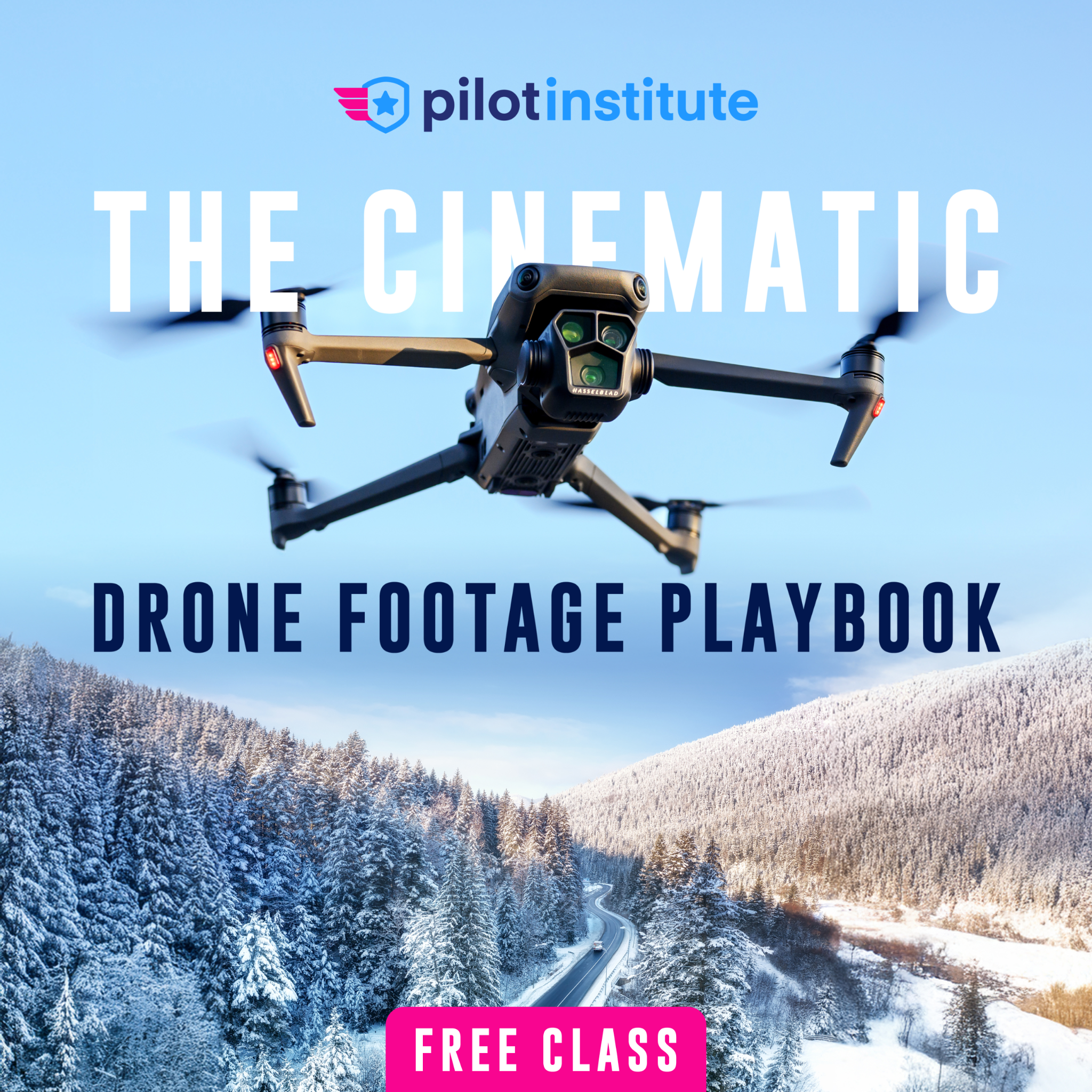 Pilot Institute Facebook ad