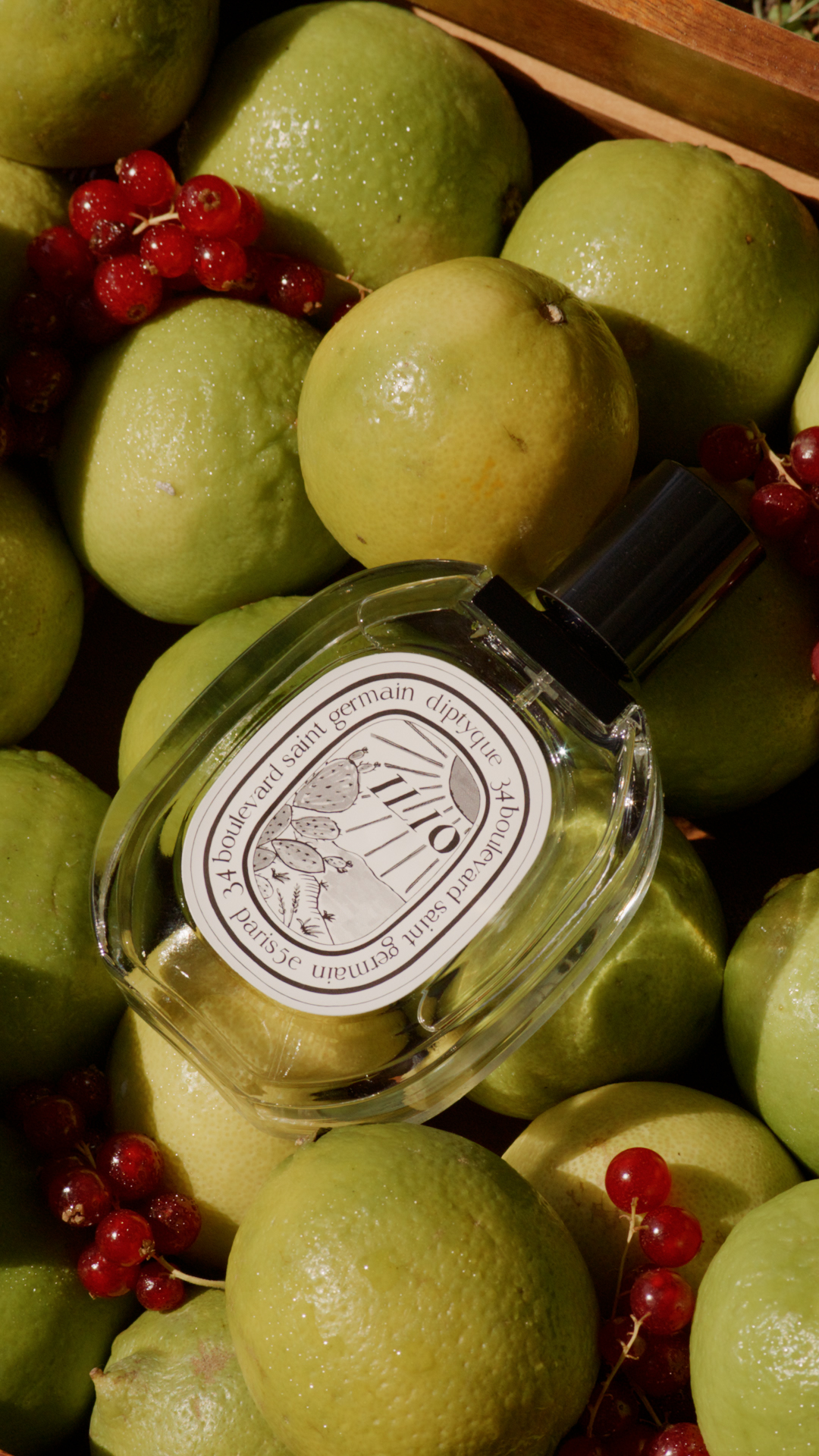 diptyque Facebook ad