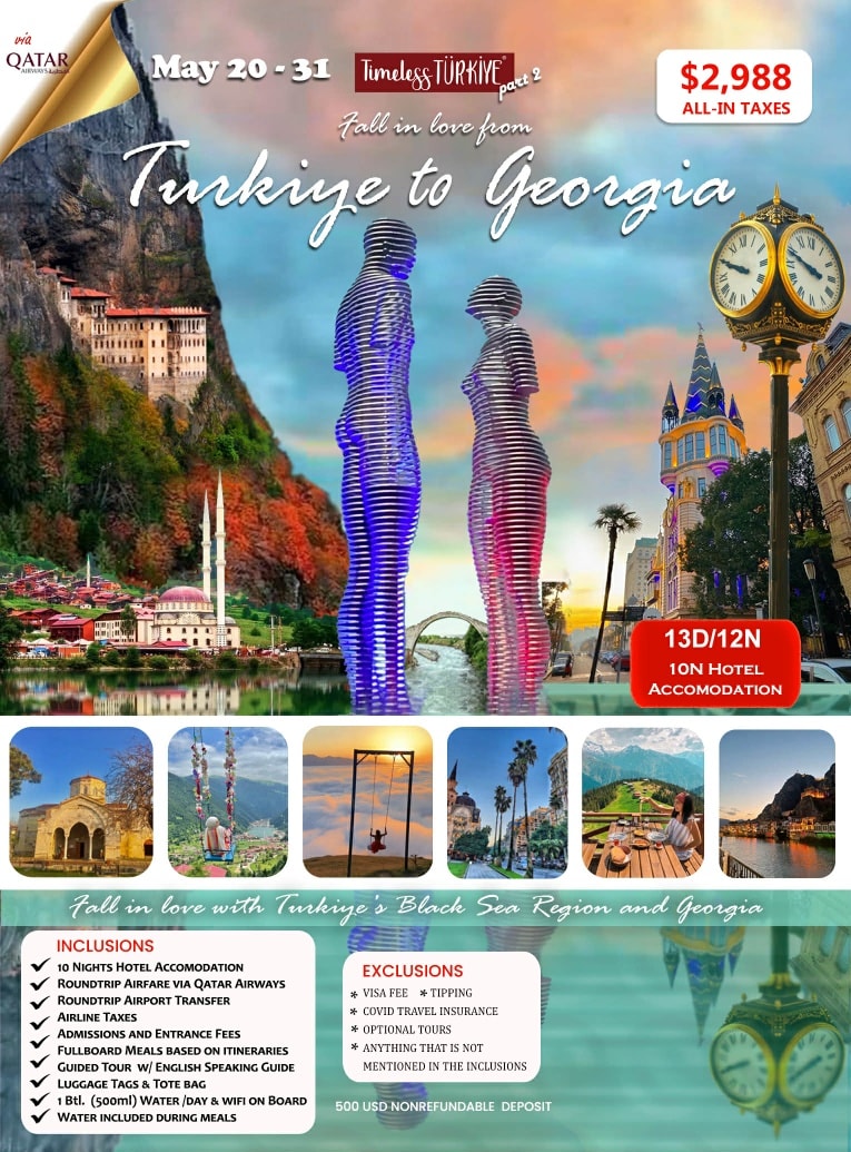 Mitzy Travel and Tours Facebook ad