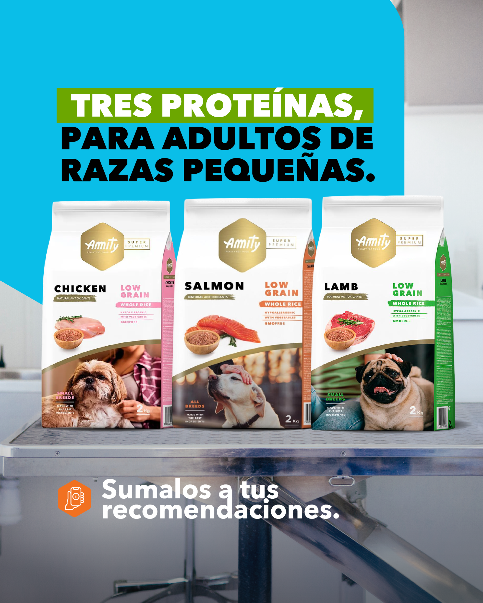 Amity Pet Food CR Facebook ad: Conocé más en nuestra web