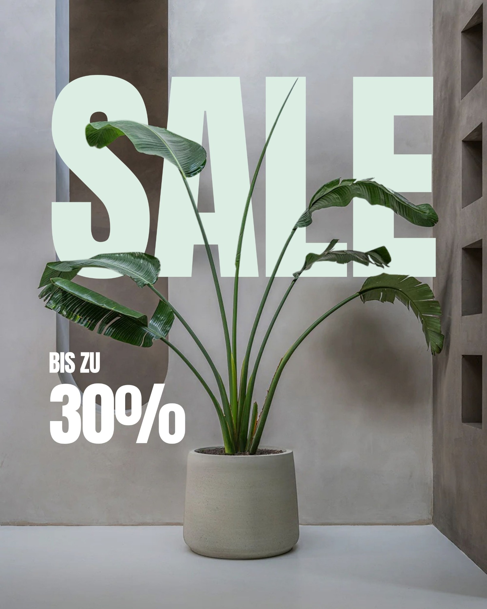 Finestgreen Facebook ad