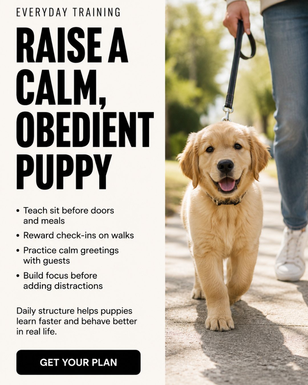 Ben Your Puppy Trainer Facebook ad